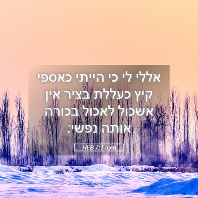 Picture 05 - מיכה 7:1 HEB - אללי לי כי הייתי כאספי קיץ - Bible Verse Picture