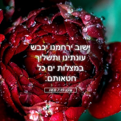 Picture 05 - מיכה 7:19 HEB - ישוב ירחמנו יכבש עונתינו - Bible Verse Picture