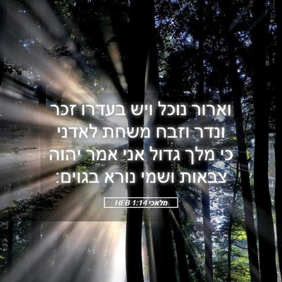 Picture 05 - מלאכי 1:14 HEB - וארור נוכל ויש בעדרו זכר - Bible Verse Picture