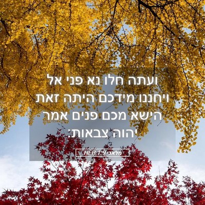 Picture 05 - מלאכי 1:9 HEB - ועתה חלו נא פני אל ויחננו - Bible Verse Picture