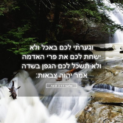 Picture 05 - מלאכי 3:11 HEB - וגערתי לכם באכל ולא ישחת - Bible Verse Picture