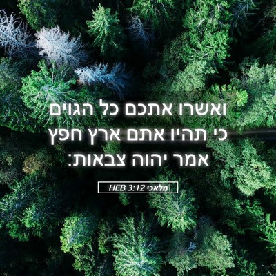 Picture 05 - מלאכי 3:12 HEB - ואשרו אתכם כל הגוים כי תהיו - Bible Verse Picture