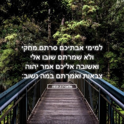 Picture 05 - מלאכי 3:7 HEB - למימי אבתיכם סרתם מחקי ולא - Bible Verse Picture