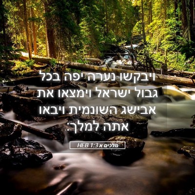 Picture 05 - מלכים א 1:3 HEB - ויבקשו נערה יפה בכל גבול - Bible Verse Picture