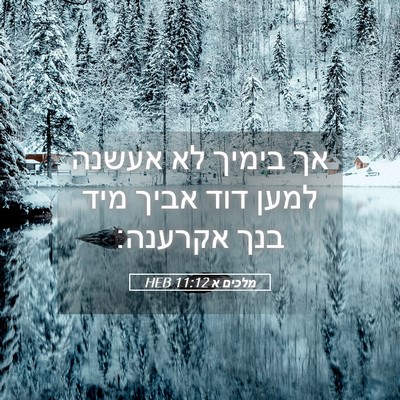 Picture 05 - מלכים א 11:12 HEB - אך בימיך לא אעשנה למען דוד - Bible Verse Picture