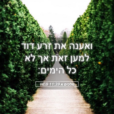 Picture 05 - מלכים א 11:39 HEB - ואענה את זרע דוד למען זאת - Bible Verse Picture
