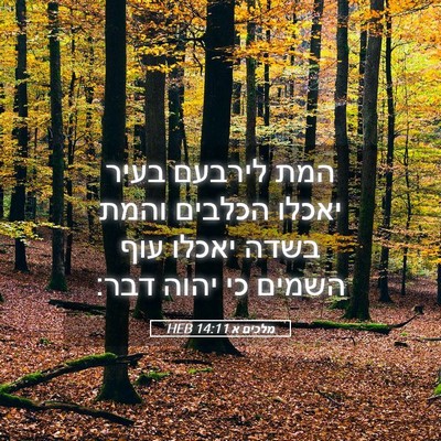 Picture 05 - מלכים א 14:11 HEB - המת לירבעם בעיר יאכלו - Bible Verse Picture