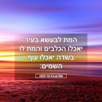 Picture 05 - מלכים א 16:4 HEB - המת לבעשא בעיר יאכלו - Bible Verse Picture