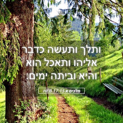 Picture 05 - מלכים א 17:15 HEB - ותלך ותעשה כדבר אליהו - Bible Verse Picture