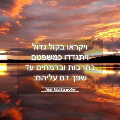 Picture 05 - מלכים א 18:28 HEB - ויקראו בקול גדול ויתגדדו - Bible Verse Picture