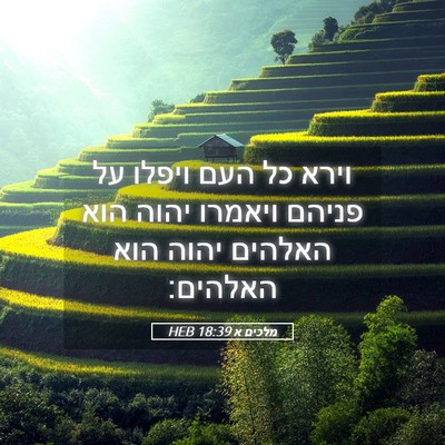 Picture 05 - מלכים א 18:39 HEB - וירא כל העם ויפלו על פניהם - Bible Verse Picture