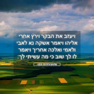 Picture 05 - מלכים א 19:20 HEB - ויעזב את הבקר וירץ אחרי - Bible Verse Picture