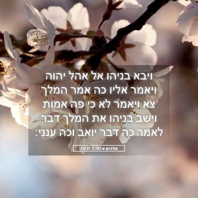 Picture 05 - מלכים א 2:30 HEB - ויבא בניהו אל אהל יהוה - Bible Verse Picture