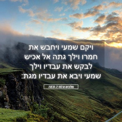 Picture 05 - מלכים א 2:40 HEB - ויקם שמעי ויחבש את חמרו - Bible Verse Picture