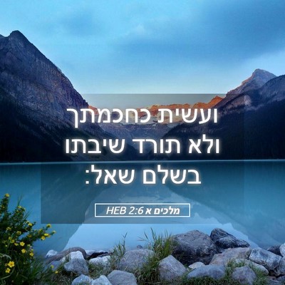 Picture 05 - מלכים א 2:6 HEB - ועשית כחכמתך ולא תורד - Bible Verse Picture