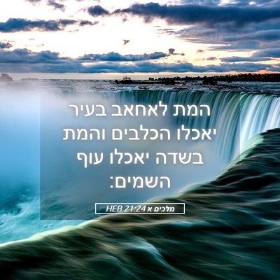 Picture 05 - מלכים א 21:24 HEB - המת לאחאב בעיר יאכלו - Bible Verse Picture