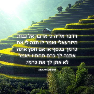 Picture 05 - מלכים א 21:6 HEB - וידבר אליה כי אדבר אל נבות - Bible Verse Picture