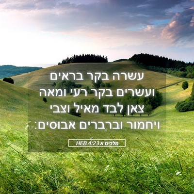 Picture 05 - מלכים א 4:23 HEB - עשרה בקר בראים ועשרים בקר - Bible Verse Picture