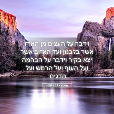 Picture 05 - מלכים א 4:33 HEB - וידבר על העצים מן הארז אשר - Bible Verse Picture
