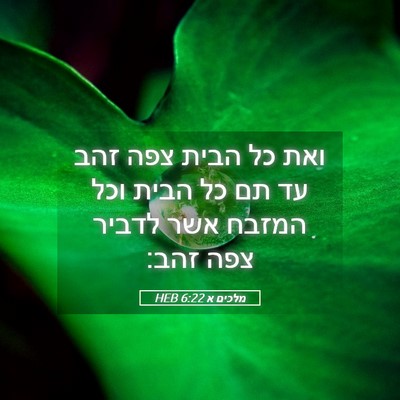 Picture 05 - מלכים א 6:22 HEB - ואת כל הבית צפה זהב עד תם כל - Bible Verse Picture