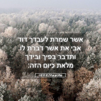Picture 05 - מלכים א 8:24 HEB - אשר שמרת לעבדך דוד אבי את - Bible Verse Picture