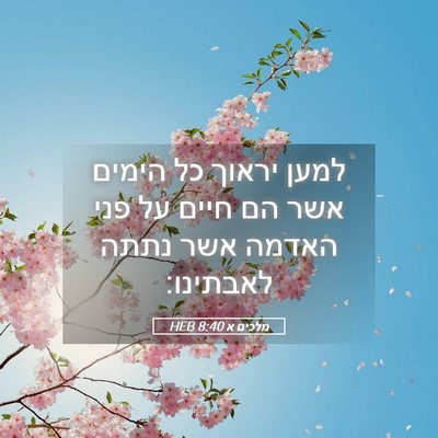 Picture 05 - מלכים א 8:40 HEB - למען יראוך כל הימים אשר הם - Bible Verse Picture