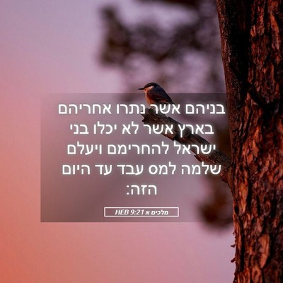 Picture 05 - מלכים א 9:21 HEB - בניהם אשר נתרו אחריהם בארץ - Bible Verse Picture