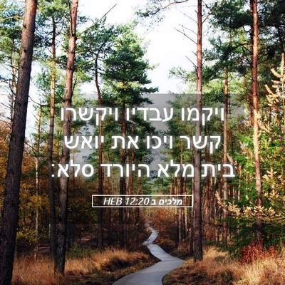 Picture 05 - מלכים ב 12:20 HEB - ויקמו עבדיו ויקשרו קשר - Bible Verse Picture