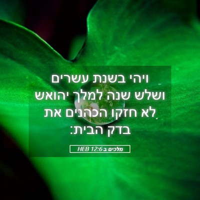 Picture 05 - מלכים ב 12:6 HEB - ויהי בשנת עשרים ושלש שנה - Bible Verse Picture