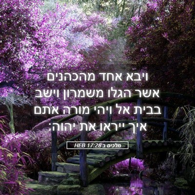 Picture 05 - מלכים ב 17:28 HEB - ויבא אחד מהכהנים אשר הגלו - Bible Verse Picture