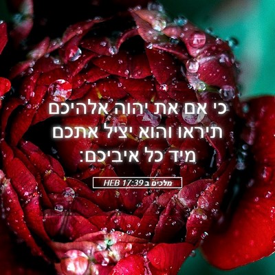 Picture 05 - מלכים ב 17:39 HEB - כי אם את יהוה אלהיכם תיראו - Bible Verse Picture