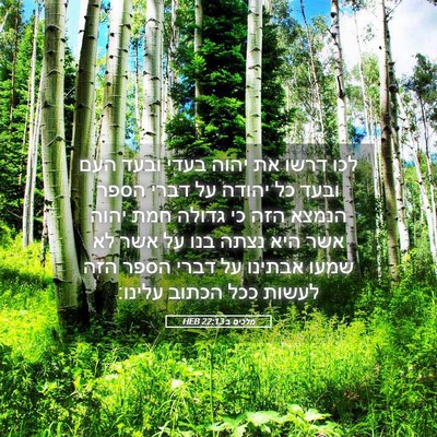 Picture 05 - מלכים ב 22:13 HEB - לכו דרשו את יהוה בעדי ובעד - Bible Verse Picture