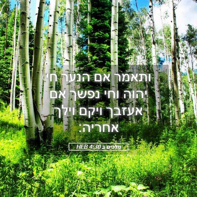 Picture 05 - מלכים ב 4:30 HEB - ותאמר אם הנער חי יהוה וחי - Bible Verse Picture