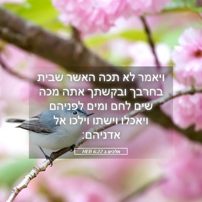Picture 05 - מלכים ב 6:22 HEB - ויאמר לא תכה האשר שבית - Bible Verse Picture