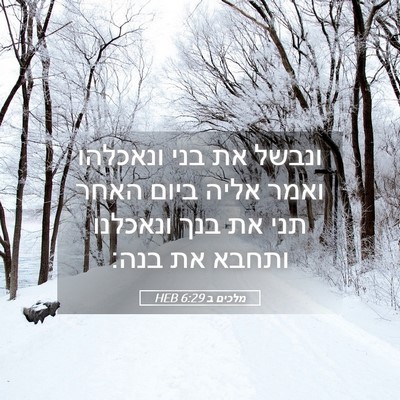 Picture 05 - מלכים ב 6:29 HEB - ונבשל את בני ונאכלהו ואמר - Bible Verse Picture