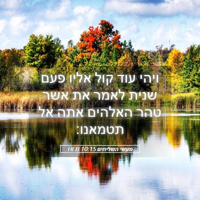Picture 05 - מעשי השליחים 10:15 HEB - ויהי עוד קול אליו פעם שנית - Bible Verse Picture