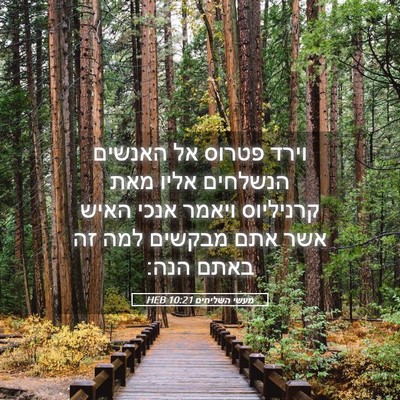 Picture 05 - מעשי השליחים 10:21 HEB - וירד פטרוס אל האנשים - Bible Verse Picture