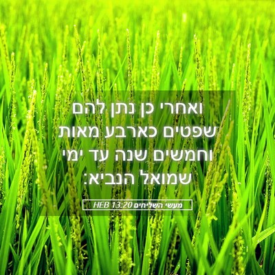 Picture 05 - מעשי השליחים 13:20 HEB - ואחרי כן נתן להם שפטים - Bible Verse Picture