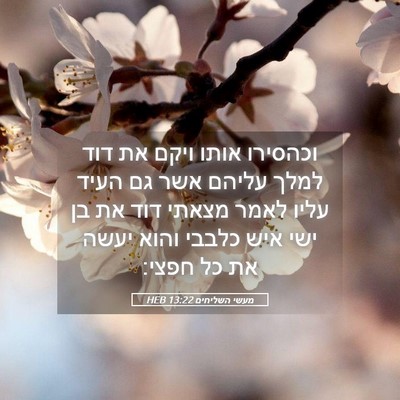 Picture 05 - מעשי השליחים 13:22 HEB - וכהסירו אותו ויקם את דוד - Bible Verse Picture