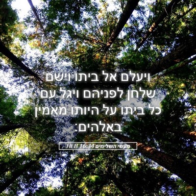 Picture 05 - מעשי השליחים 16:34 HEB - ויעלם אל ביתו וישם שלחן - Bible Verse Picture