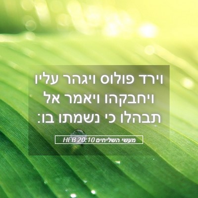 Picture 05 - מעשי השליחים 20:10 HEB - וירד פולוס ויגהר עליו - Bible Verse Picture