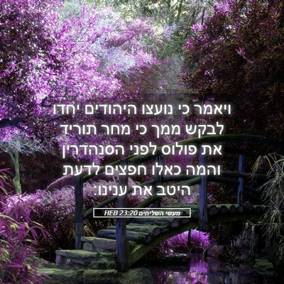 Picture 05 - מעשי השליחים 23:20 HEB - ויאמר כי נועצו היהודים - Bible Verse Picture