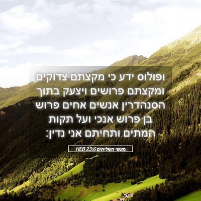 Picture 05 - מעשי השליחים 23:6 HEB - ופולוס ידע כי מקצתם צדוקים - Bible Verse Picture