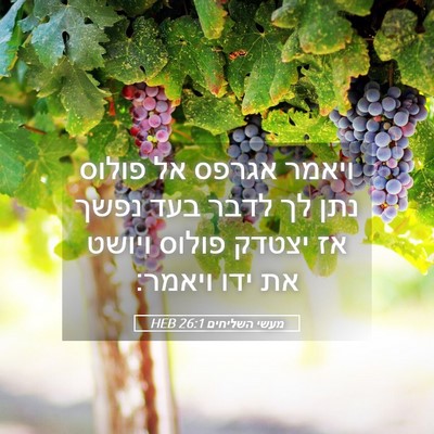 Picture 05 - מעשי השליחים 26:1 HEB - ויאמר אגרפס אל פולוס נתן לך - Bible Verse Picture