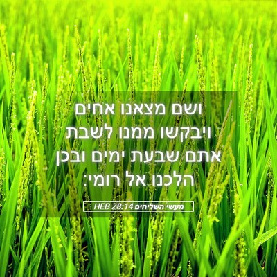 Picture 05 - מעשי השליחים 28:14 HEB - ושם מצאנו אחים ויבקשו ממנו - Bible Verse Picture