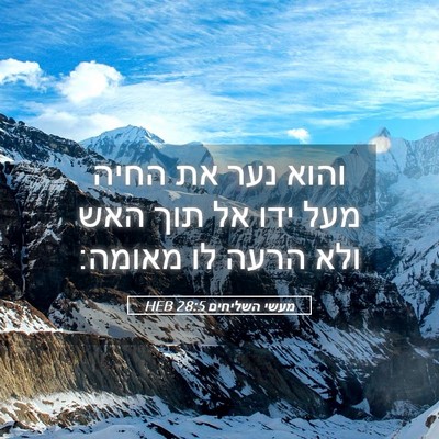 Picture 05 - מעשי השליחים 28:5 HEB - והוא נער את החיה מעל ידו אל - Bible Verse Picture