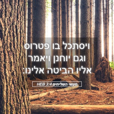 Picture 05 - מעשי השליחים 3:4 HEB - ויסתכל בו פטרוס וגם יוחנן - Bible Verse Picture