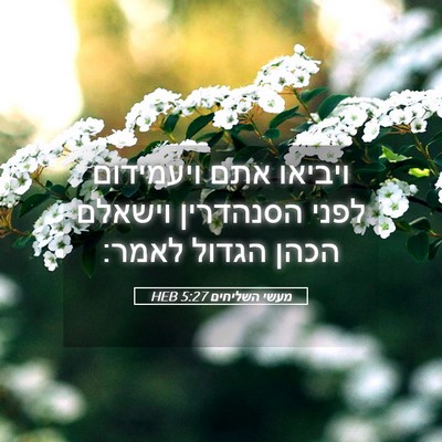 Picture 05 - מעשי השליחים 5:27 HEB - ויביאו אתם ויעמידום לפני - Bible Verse Picture