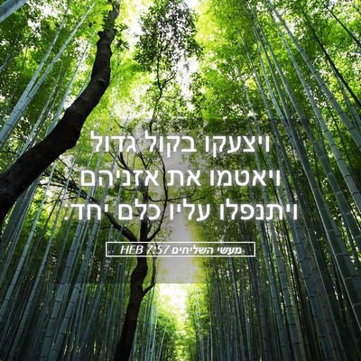 Picture 05 - מעשי השליחים 7:57 HEB - ויצעקו בקול גדול ויאטמו את - Bible Verse Picture