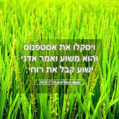 Picture 05 - מעשי השליחים 7:59 HEB - ויסקלו את אסטפנוס והוא - Bible Verse Picture